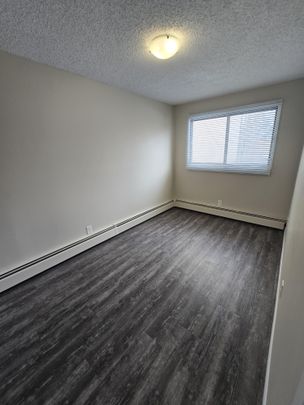 Beautiful Spacious 2 bedroom end unit Available Now! - Photo 1