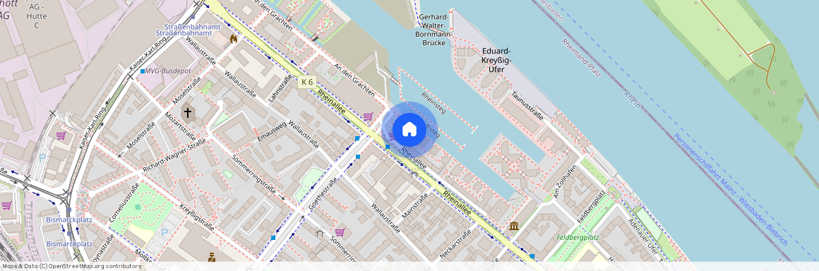 Rheinallee 60, 55118, Mainz