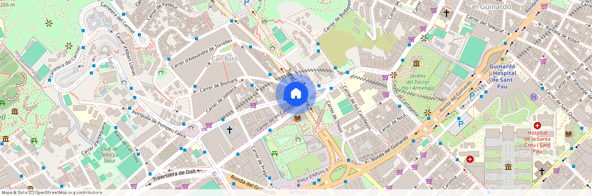 Avinguda de la Mare de Déu de Montserrat, Barcelona, Catalonia 08024