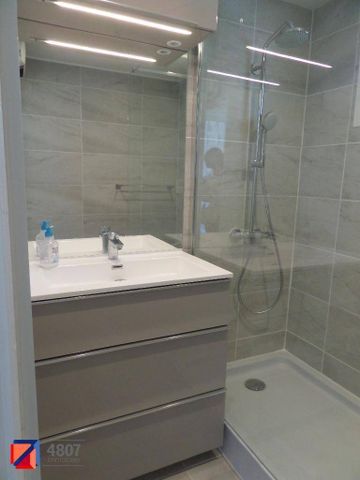 Location appartement rénové 3 pièces 48.4 m² à Annecy (74000) 5 - Photo 4