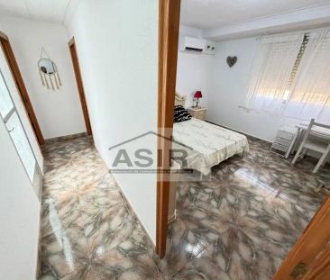 Alzira - Photo 4