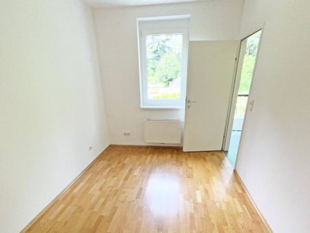 Gemütliche 2-Zimmerwohnung mit Wintergarten und Blick ins Grüne - Photo 3