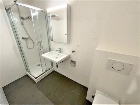 Rare au coeur des Eaux-Vives - côté cour - Photo 2