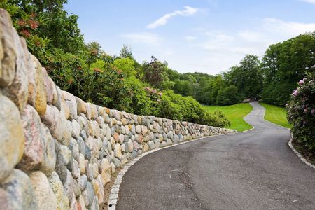 I skovens dybe stille ro! - Foto 2