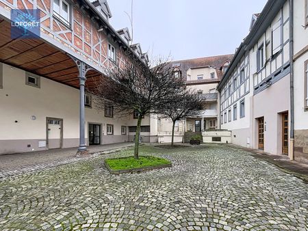 Appartement T2 Wolfisheim à louer - Photo 4