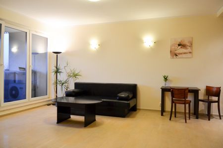 Mieszkanie wynajem Poznań Szczytnicka klimatyzacja basen - Фото 3