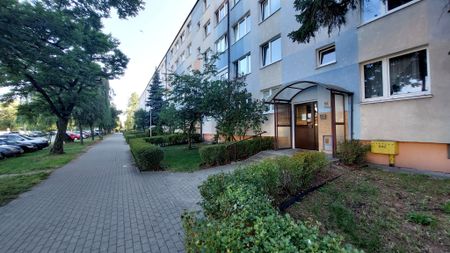 Pokój, ul. Legionów - Zdjęcie 4