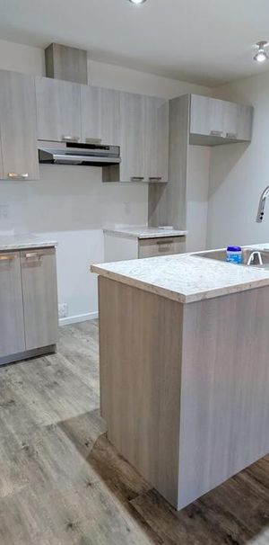 Immeuble - 182 Rue Chevrefils, Saint-Rémi Appartement Style Maison De Ville 5 ½ Rénové à Louer – Saint‑Rémi - Photo 1