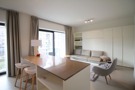 Directly with the owner - Studio Furnished - Photo 4