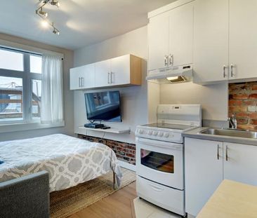 Loft entièrement meublé à louer Saint-Jean-Baptiste octobre 2025 - Photo 3