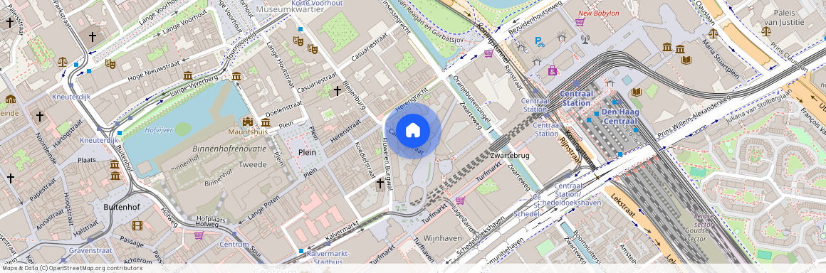 Calliopestraat 36, Uilebomen, 2511GH, Den Haag