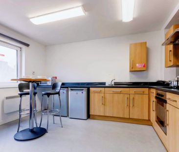 Non Ensuite-Platinum - Photo 3