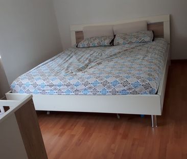 Rent a 3 rooms apartment in Winterthur - Photo 2