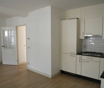 Arminiaanse Glop 2 - Foto 6