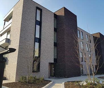 Kleine Breemstraat 3 bus 0.02 - Photo 6