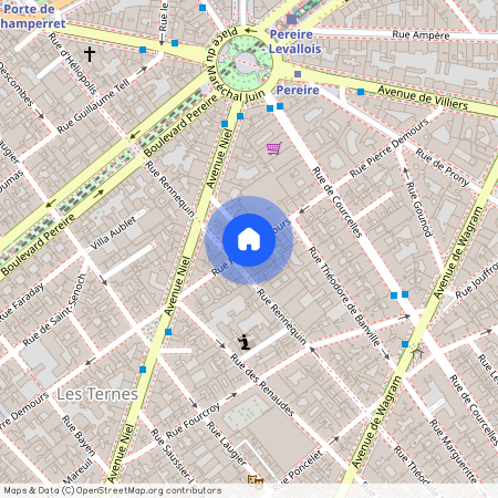 Rue Laugier, entre Avenue Niel et Rue Pierre Demours 75017 Paris (17e arrondissement)