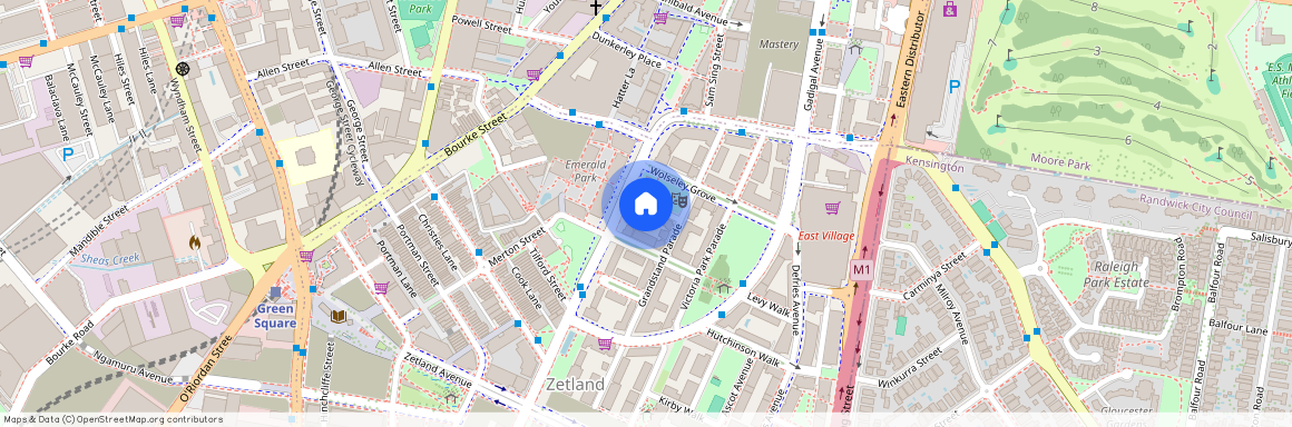 3 Austin Grove, NSW 2017, Zetland