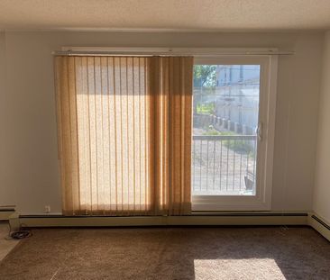 1 Bedroom Condo For Rent In Sunnyside/ Heat & Water Included - Photo 6