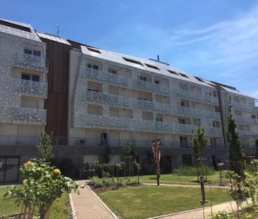Location Appartement 1 pièce 31m² STRASBOURG 67200 - Photo 4