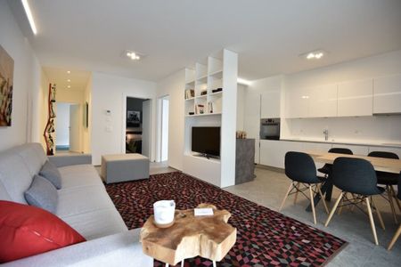 Modern Furnished Apartment Luxury C24 Bellinzona - Foto 4