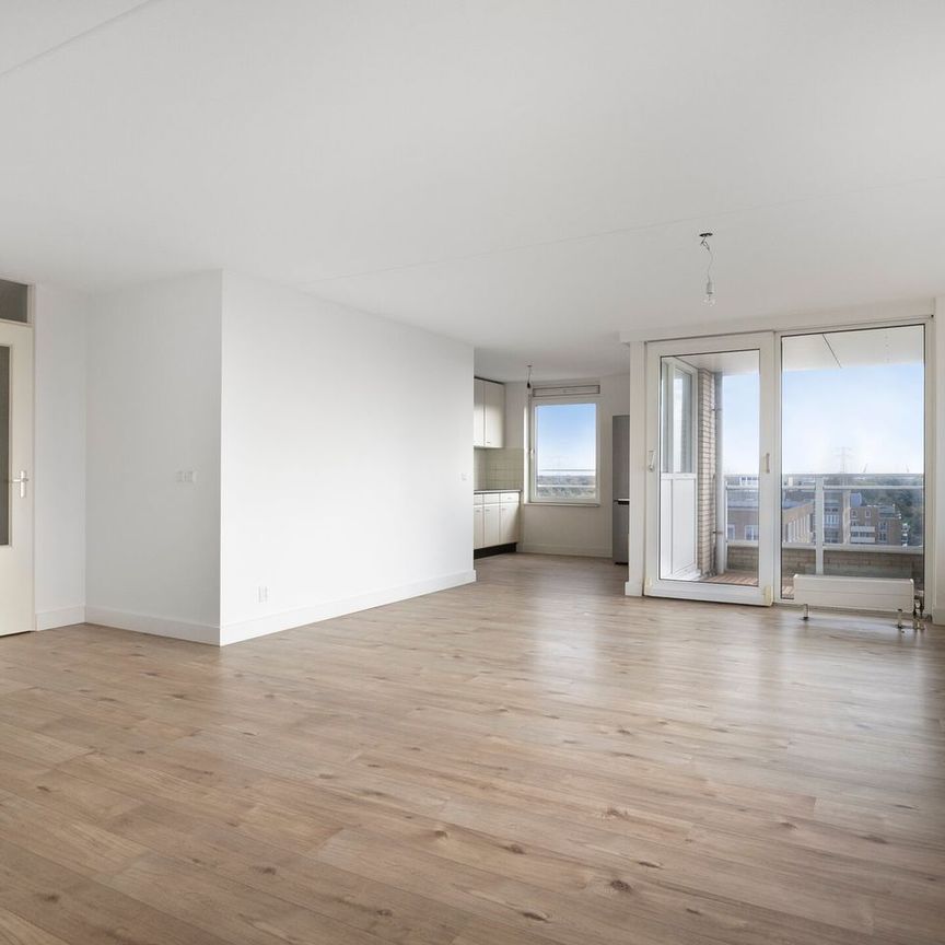 Hermelijnvlinder 95, Vlindertuin, 1113LC, Diemen - Foto 1