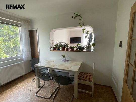 Pronájem bytu 2+1 v osobním vlastnictví 80 m², Ledenice - Photo 1