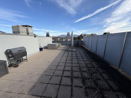 Magnifique appartement lumineux de 6.5 pièces au dernier étage avec une grande terrasse. 101 m2 environ - Foto 3