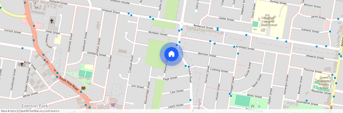 65 Pikeson Street, Qld 4053, Everton Park