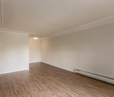 2 Bedroom - Photo 4