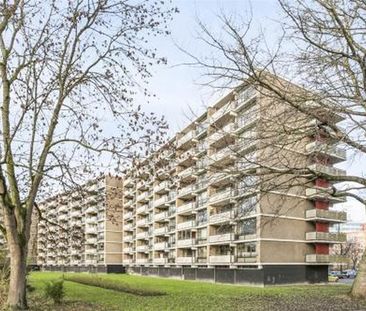 Jan Luykenlaan 2332 Leiden - Foto 2