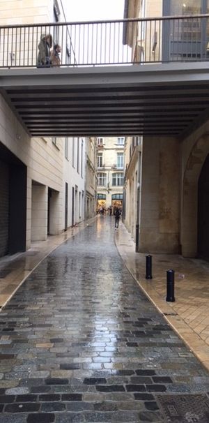 Location Appartement 1 pièce 24m² BORDEAUX 33000 - Photo 1