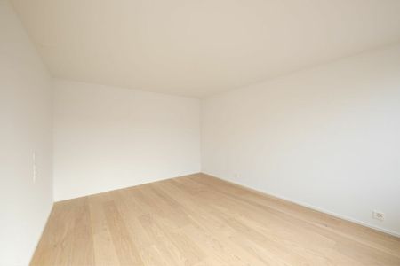 Kurzelängeweg, Allschwil - Foto 5