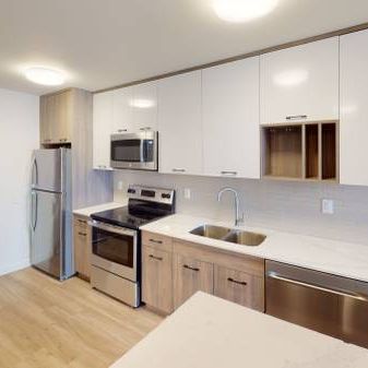 1 Bedroom Apartment - Walnut Place - Hamilton - Photo 3