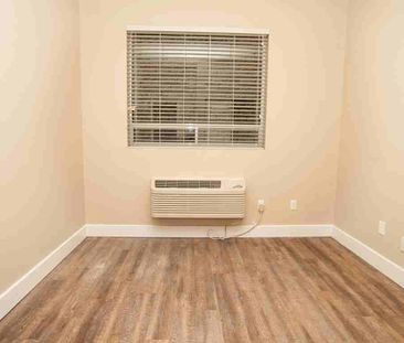 149 Main Street West apartment — Hamilton, ON (2-Bedroom) - 2 Bedroom - Photo 4
