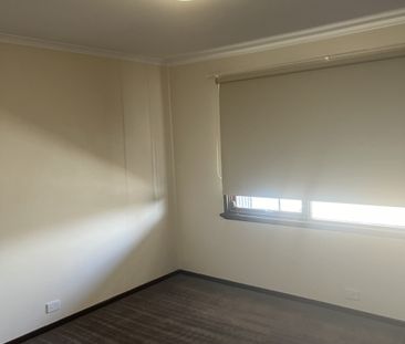 Don't Miss This 3x1 Well Located With A Large Backyard. - Photo 3