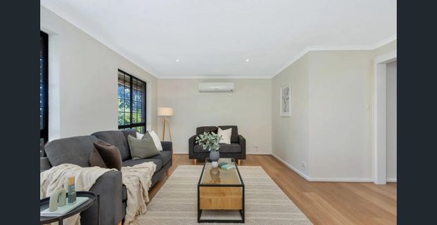 Very Neat and Tidy - Photo 1