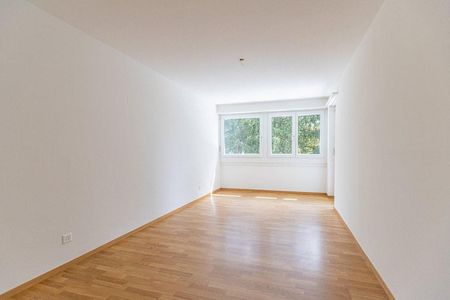 Geniessen Sie eine entspannte Aussicht! - Photo 5