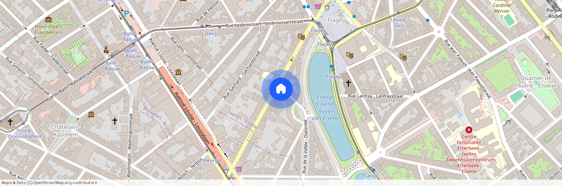 Rue Lannoy, 3, 1050, Ixelles