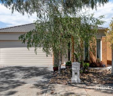 16 Hodgson Rise, Mernda - Photo 6