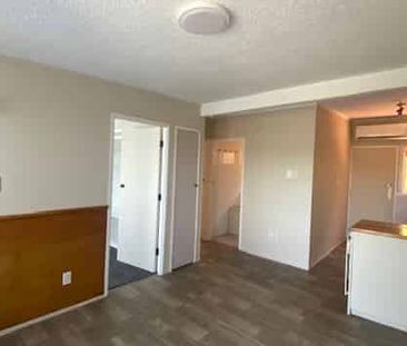 Renovated 2 Bedroom Unit - Photo 2