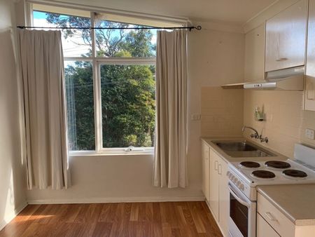 3/9 Tulloona Avenue, Bowral NSW 2576 - Apartment For Rent | Domain - Photo 2