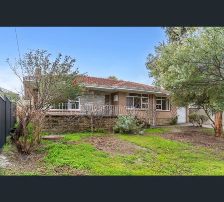 61 Cornwall Street, Dianella, WA 6059 - Photo 4