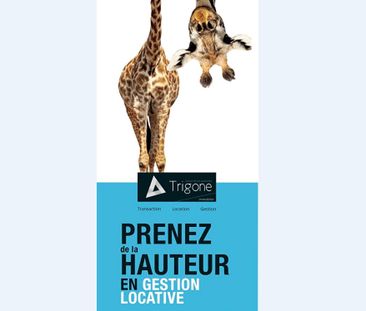 Location Appartement 2 pièces 36m² - Photo 6