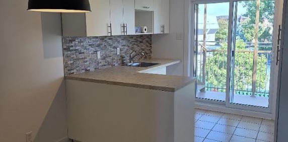 4 1/2 à louer secteur Repentigny - Photo 2