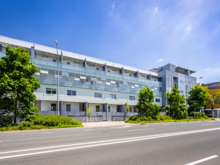 22/93-103 Euston Road, Alexandria NSW 2015 - Apartment For Rent | Domain - Photo 5