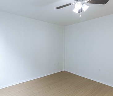 53 Somerset Street - Photo 4