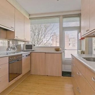 Schoonegge 0ong, 3085 Rotterdam, Nederland - Foto 4