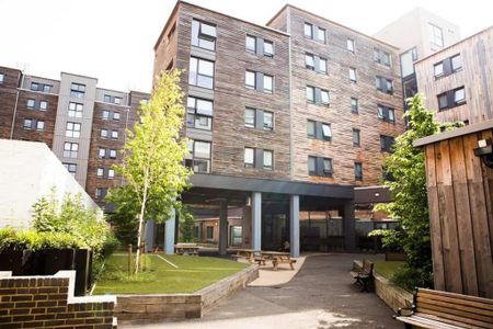 Flat share to rent - Photo 4