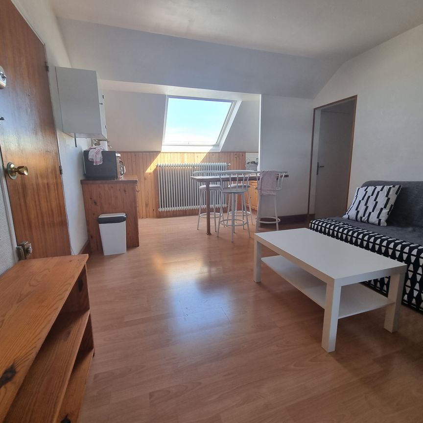 Location Appartement 1 pièce 30m² OLIVET 45160 - Photo 1