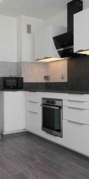 Location Appartement 3 pièces 69m² COLOMIERS 31770 - Photo 1